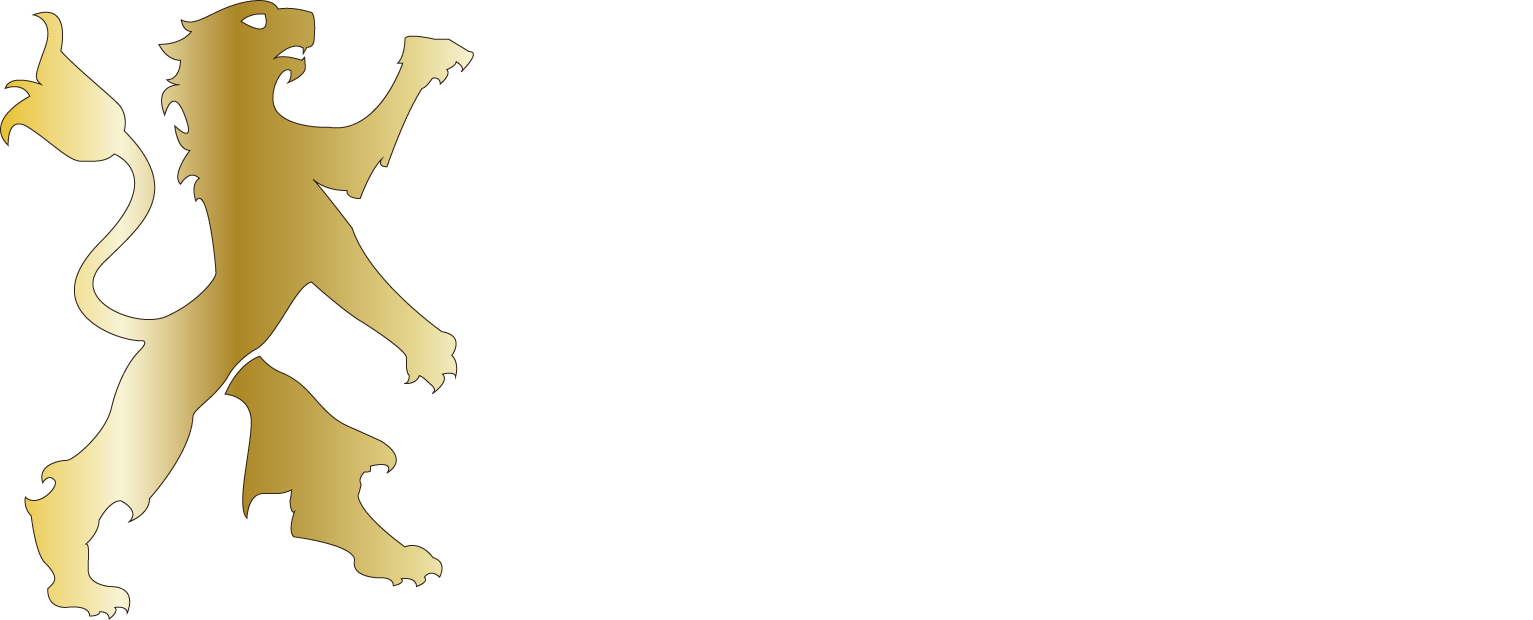 B&S Capital
